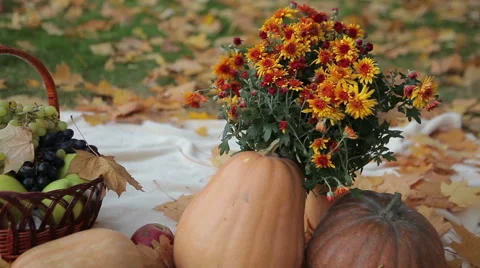 Fruit Basket and Pumpkins Stock Footage 59898974