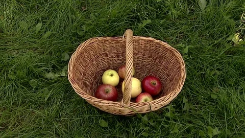 Fruit basket Stock Footage 80088478
