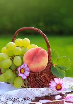 Fruit basket isolated on green background. Stock Photos