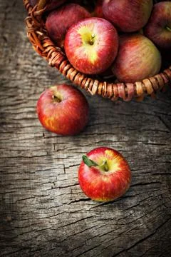 Fruit in basket Stock Photos