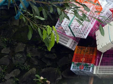 Fruit Baskets Stock Photos