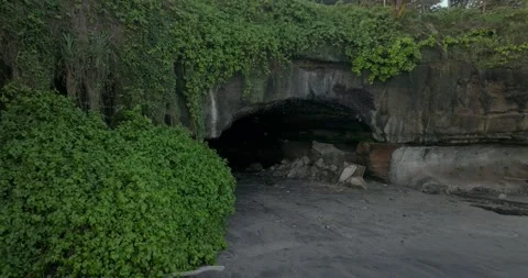 Fruit bat cave with ocean view in Bali Stock Footage 243693573
