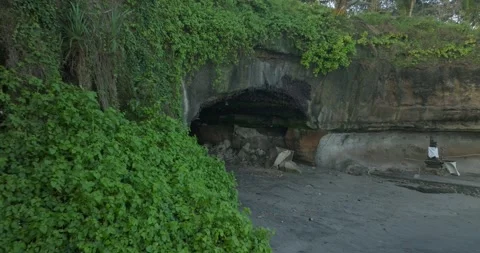 Fruit bat cave with ocean view in Bali Stock Footage 247396112