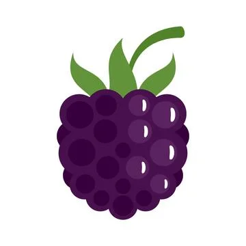 Fruit blackberry icon flat isolated vector Illustrazione stock