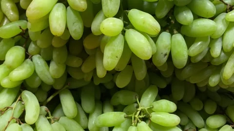 Fruit Brunch of Green Grapes on Shelf in Fresh Fruit market Bangladesh Travel Stock Footage 345172089