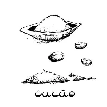The fruit of the cacao tree and beans. Black and white image in the style of  Stock Illustration