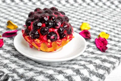 Fruit cake with currant covered with jelly on a saucer on a beautiful backgro Photos