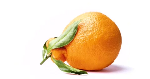 This is a fruit called Dekopon. Stock Footage 168122090