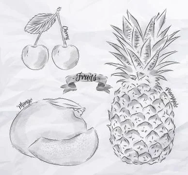 Fruit cherry, mango, pineapple vintage Stock Illustration