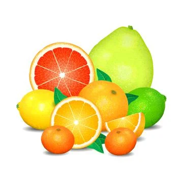 Fruit of citrus, set of citrus fruit. Citrus fruits (orange, lemon, lime Stock Illustration