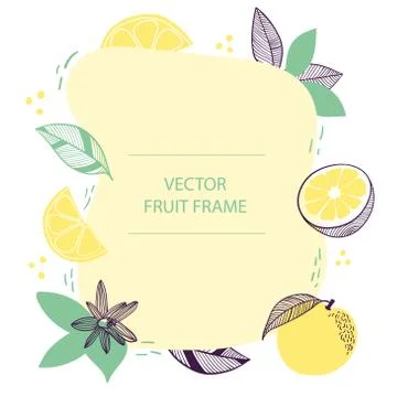Fruit citrus text frame hand drawn flat template. Vector design with botanical Stock Illustration
