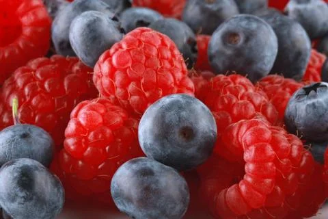 Fruit cocktail Stock Photos