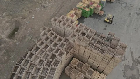 Fruit collected in boxes 4 Video stock 330803391