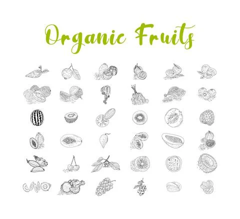 Fruit collection in flat hand drawn style, illustrations set. Stock Illustration