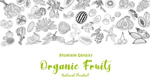 Fruit collection in flat hand drawn style, illustrations set. Illustrazione stock