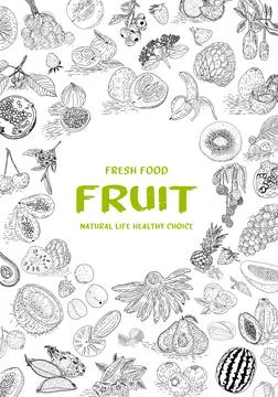 Fruit collection in flat hand drawn style, illustrations set. Stock Illustration
