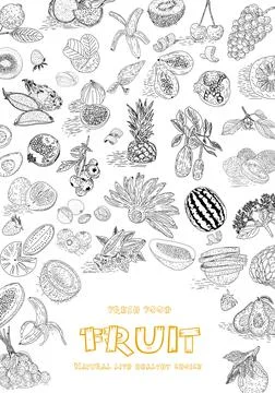 Fruit collection in flat hand drawn style, illustrations set. Stock Illustration
