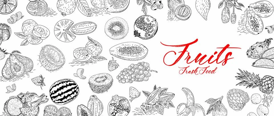 Fruit collection in flat hand drawn style, illustrations set. Stock Illustration