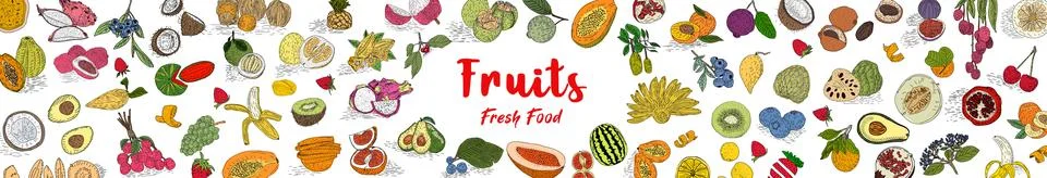 Fruit collection in flat hand drawn style, illustrations set. Stock Illustration
