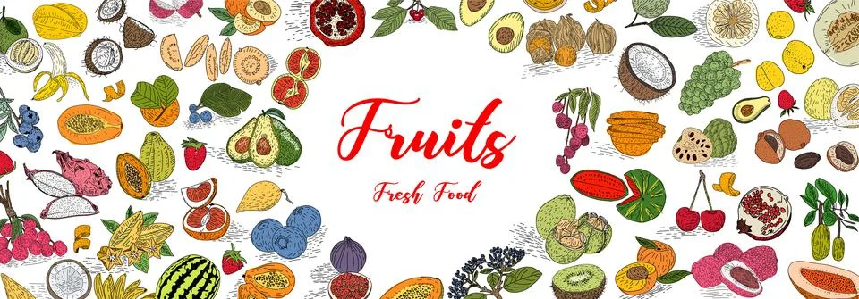 Fruit collection in flat hand drawn style, illustrations set. Stock Illustration