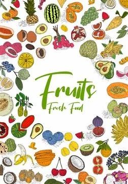Fruit collection in flat hand drawn style, illustrations set. Stock Illustration