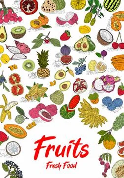 Fruit collection in flat hand drawn style, illustrations set. Stock Illustration