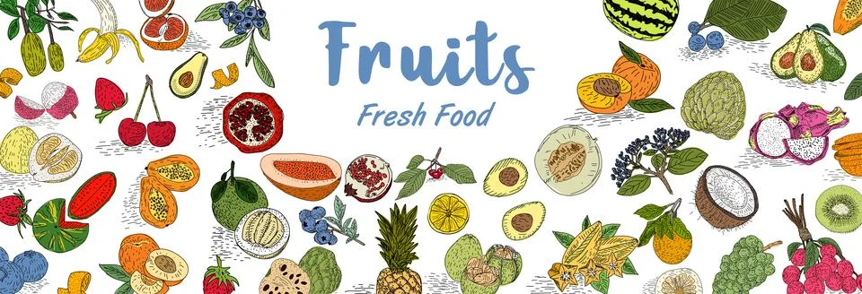 Fruit collection in flat hand drawn style, illustrations set. Stock Illustration