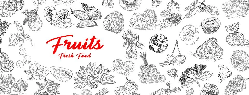 Fruit collection in flat hand drawn style, illustrations set. Stock Illustration