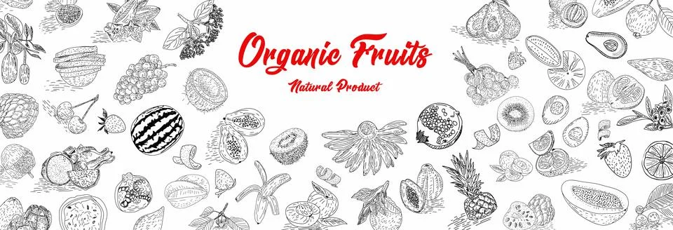 Fruit collection in flat hand drawn style, illustrations set. Illustrazione stock