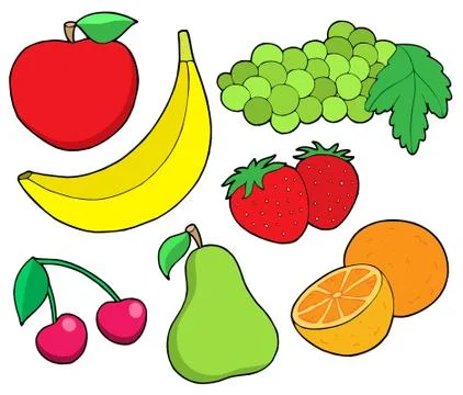 Fruit collection  Stock Illustration