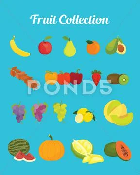Fruit collection images with bright color vector graphic Stock Illustration