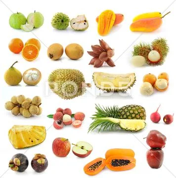 Fruit collection isolated on white background Stock Illustration