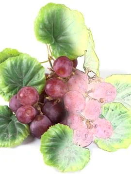Fruit composition of colored drawing of grapes Stock Illustration