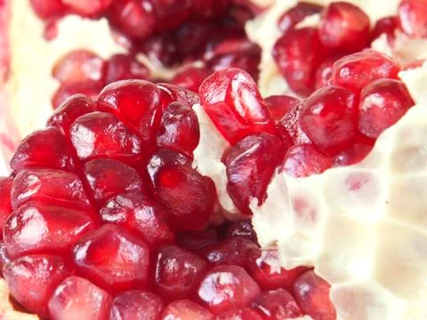 Fruit composition from garnet berries Stock Photos