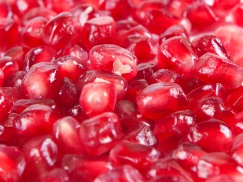 Fruit composition from garnet berries Stock Photos