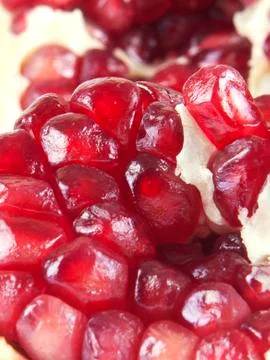 Fruit composition from garnet berries Stock Photos