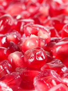 Fruit composition from garnet berries Stock Photos