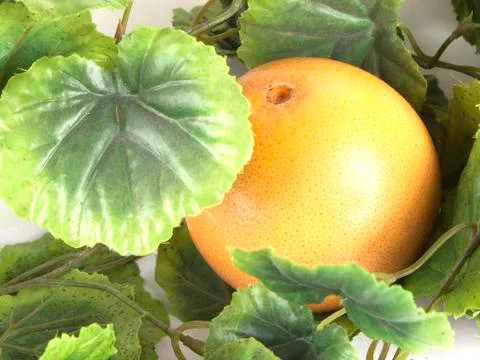 Fruit composition of ripe grapefruit Stock Photos