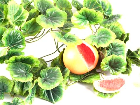 Fruit composition of ripe grapefruit Stock Photos