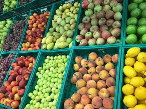 Fruit department background unit isolate Stock Photos