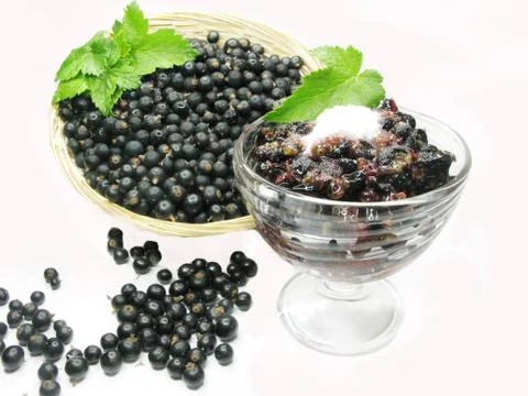 Fruit dessert with black currant Stock Photos