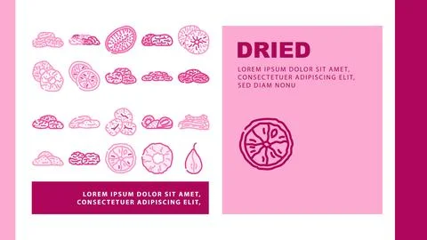 Fruit dry snack nut mix icons set vector Stock Illustration