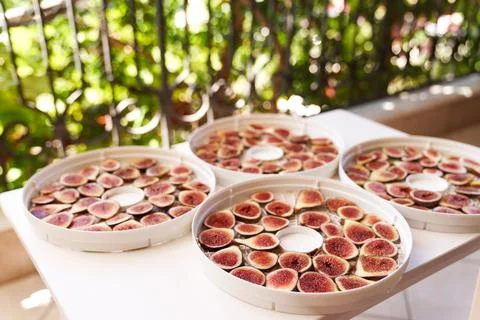 Fruit drying process on white dehydrator plates on balcony Stock Photos