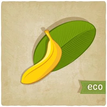 Fruit eco old background Stock Illustration