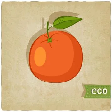 Fruit eco old background Stock Illustration