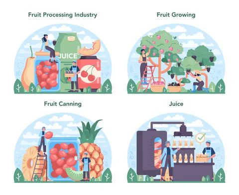 Fruit farming and processing industry set. Idea of agriculture and cultivation. Stock Illustration