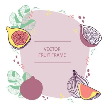 Fruit figs text frame hand drawn flat template. Vector design with botanical  Stock Illustration