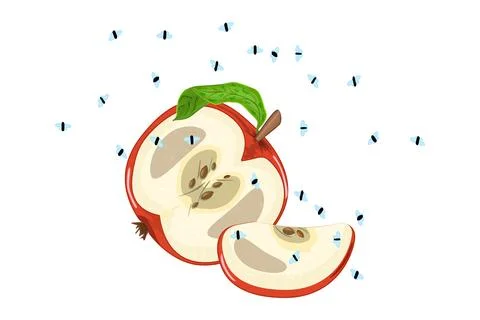 Fruit flies and red apple isolated on white background. kitchen leftovers. Stock Illustration