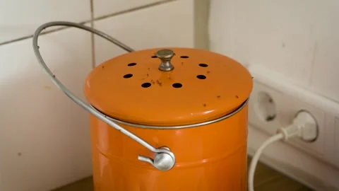 Fruit Flies Infestation in Home Kitchen Creating a Common Household Nuisance Stock-Footage 340290336