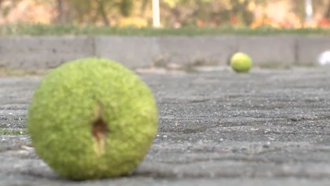 A fruit on the floor 1 Video stock 311645235